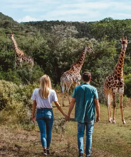 7-days-family-safari1