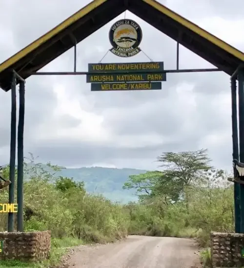 Arusha2