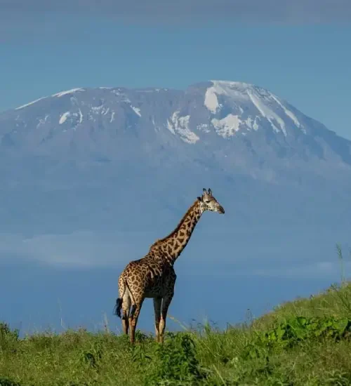 Arusha4