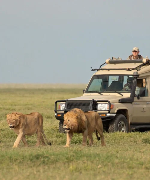 arusha-national-park-3