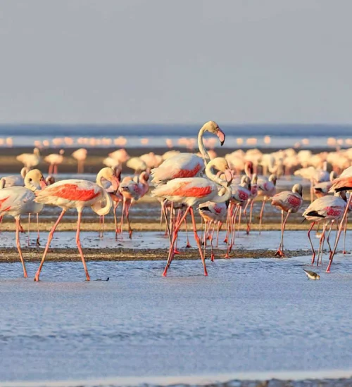 lake-natron-2