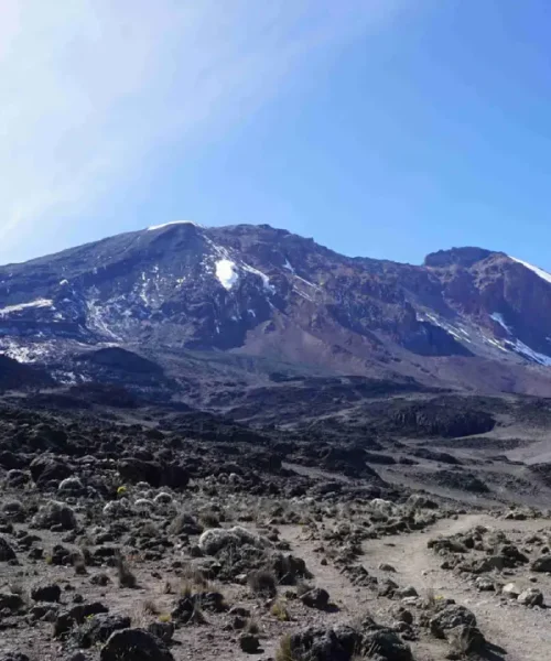 machame-route-vip-plus