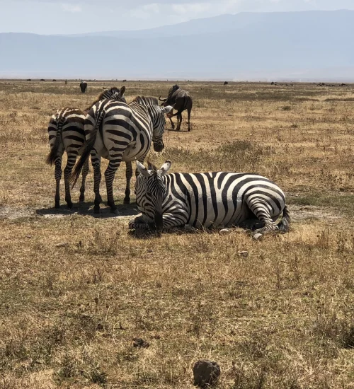 ngorongoro-crater-2