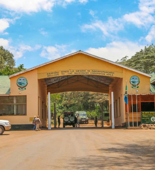 ngorongoro-crater-3