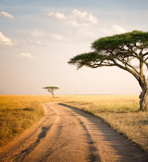 serengeti-national-park-1