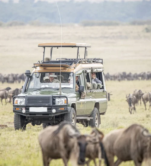 serengeti-national-park-5 (1)